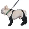 Scarpe per cani impermeabili Stivali regolabili Pet Breathbale per passeggiate all'aperto Protezione morbida per zampe Bulldog francese 240304
