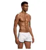 Unterhosen PS Marke Mesh Unterwäsche Männer Boxer Homme Cueca Boxer Shorts Sexy Herren Beutel Männliche Homosexuell Pantie PS301