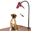 Abbigliamento per cani Toelettatura per animali Asciugacapelli Supporto Rotazione di 360 gradi con morsetto regolabile Telaio di supporto per ventilatore di bellezza per il bagno del gatto F6025179n