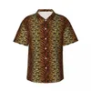 Chemises décontractées pour hommes imprimé tigre chemise hawaïenne mâle plage animal rayures noires à manches courtes Y2K street design chemisiers surdimensionnés à la mode