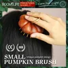 Sandalwood Mini Hair Brush Women Portable Pocket Hair Comb Head Scalp Massage Brush Wide Tooth Comb Design Pumpkin Style 240229