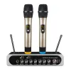 Microphones Wireless microphone one for two home TV KTV live dynamic bluetooth microphone