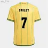 Fans Tops Jamaïque maillots de football équipe nationale de football Bailey ANTONIO REID Nicholson LOWE MORRISON maison shirtH240313