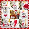 Costumes de chat chat/chien Costume de noël déguisement vêtements petits chiens année Costume drôle accessoire pour animaux de compagnie Santa chapeaux cape hiver