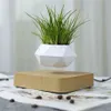 Magnetische ophanging bloem Zwevende Air Bonsai Pot plant succulent terrasdecoratie Desktop Bloem Groen C1111345t