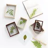 4 7 8 10 Inch Solid Wood Po Frame Double-sided Glass Plant Specimen Frame Square Po Creative DIY Specimen Decoration1240Q