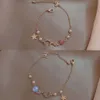 Bracelet de perles en zircon Star Moon pour femmes avec un design unique, édition coréenne High E, célébrité Internet Trey, bracelet minimaliste à la mode, meilleur