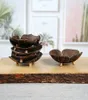 Creative Coconut Shell Soap Shelf Butterfly Shaped Coconut Soap Cartoon Soap Box Southeast Asian Woods Coconut Shell Soaps Dish 11257297