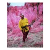 Richard Mosse pographie Birdland web affiche peinture impression décor à la maison encadré ou non encadré Poppaper Material249r