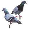 Trädgårdsdekorationer 2 PCS Pigeon Decoration Yards Decorative Sign Lawn Insert Acrylic Ornament Stakes