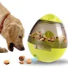 Yaratıcı Pet Tumbler Etkileşimli Besleyiciler Köpek Sallama Yiyecek Dispenser Sızıntı Topu Komik Bulmaca Köpek Kendi Kendinden Besleme Oyuncak Köpek Oyun Kase FE195T