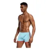 Unterhosen PS Marke Mesh Unterwäsche Männer Boxer Homme Cueca Boxer Shorts Sexy Herren Beutel Männliche Homosexuell Pantie PS301