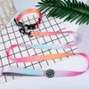 Designer Collar Leash Harness Fashion Gradient Color Pet Products Chain Small Dog Medium Large Fitting Spring Summer236l