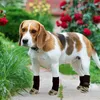 Vêtements pour chiens Grip Chaussettes Griffe Anti Slip Protecteur respirant doux avec sangles réglables durables