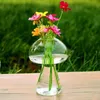 Svampformad glasvas glas terrarium flaskbehållare blomma hem bord dekor modern stil ornament 6piece1935