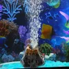 Pierre à bulles d'air en forme de volcan pour Aquarium, 1 pièce, pompe à oxygène, ornement pour Aquarium, fournitures aquatiques, décorations pour animaux de compagnie, 262y