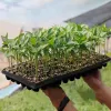 Vasi 5 Pz 50 Vassoi per piantine per germinazione cellulare Vassoi per avviamento da giardino Forza Germinazione dei semi Pianta Vaso di fiori Vivaio Grow Box Giardino