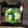 Nids perroquet coton nid oiseau hamac pour Cage oiseau chaud cabane tente hamac lit suspendu grotte maison animal cage accessoires fournitures