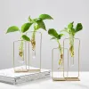 Vases Vases for interior Terrarium Iron Line glass vase home decoration accessories Nordic Hydroponic Plant Vase Office Desktop Modern