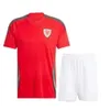 24 25 País de Gales Kids Kit Futebol Jerseys WILSON JOHNSON RAMSEY BALE WILLIAMS JAMES RODON ALLEN MOORE ROBERTS DAVIES Away Football Shirt