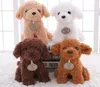 20CM petit chiot en peluche chiens jouet blanc Orange marron marron clair poupées douces bébé enfants jouets pour enfants cadeaux de fête d'anniversaire 4113739