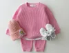 2024 Korea Peuter Babykleding Sets Voor Baby Baby Jongens Kleding Set Mock Tweedelige Wafel Katoen Sweatshirt + broek 2 Stuks Outfit