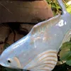 Sculptures Fish Statue Garden Stake Garden Decoration Floating Fish Figure Sculpture Japanese Floating Carp Artificial Fish Figure For