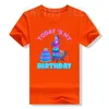 Herren-T-Shirts „Heute ist mein Geburtstag“, Lama, Junge, Familie, Party, Dekorationen, T-Shirt, Jungen, modisches Grafik-T-Shirt, kurzärmelig, Tops, Söhne, Neffen, B-Tag