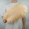 Boîtes 10 pièces plumes d'autruche colorées pour l'artisanat blanc grande plume d'autruche décor centres de table carnaval décoration de fête de mariage