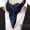 Neck Ties Ascot Tie Mens Paisley Jacquard Cravat Neck Scarf British Style Suit Shirt Accessori For Men Slitte Tren Business Ascot Scarf L240313