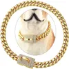 Cuba chien chaîne colliers de ceinture plein diamant boucle collier en acier inoxydable or collier pour animaux de compagnie 10mm 14mm cristal doré colliers232G