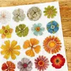 Cadeauverpakking Fairy Maru Vintage X'MAS Bloemen 07 Transfer Sticker Vel Voor Kaart Maken Planner DIY Decoratief