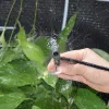 リール50pcs/setマイクロバブラードリップ灌漑調整可能なエミッターステークミックス3種類水ドリッパー農地4/7mmホース