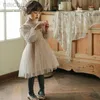 Abiti da ragazza Strawberry Shan Abbigliamento coreano Abito in tulle con maniche francesi In ldd240313