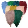 Boîtes 10 pièces plumes d'autruche colorées pour l'artisanat blanc grande plume d'autruche décor centres de table carnaval décoration de fête de mariage