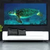 Colorful sea turtle Pictures Canvas Painting Animal Posters and Prints Wall Art for living room Modern Home Decoration845415641224q