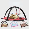 حصيرة Cat Toys Portable Cat Tent Function Pet Toys Mobile Activity Pets Play Bed Toys Cat Play Play Mat Blant