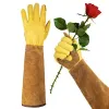 Planters Long Gardening Gloves for Women Thorn Proof Rose Pruning Leather Garden Glove for Cactus Rose Blackberry