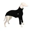 Cotton Italian Greyhound Clothes Whipple Clothes Dog Big Dog Clothes High Collar Dog Clothes 240307