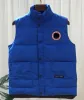 Erkek Kış Yelek Açık Dış Mekan Klasik Sıradan Sıcaklık Beyaz Gotoz Gilet Ceket Moda Vese ve 7 Renk Artı Boyut M-2XL