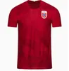 22 23 노르웨이 축구 유니폼 Haaland 2021 2022 2023 Noruega Odegaard Berge King Camisetas de Futbol 국가 팀 축구 셔츠 유니폼