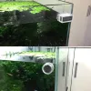 Verktyg chihiros mini nano magnet renare glas färskt akvarium marina fiskbehållare alger ta bort borste starkt tätt växtrev vatten