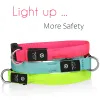 Collars Cat Collar Usb Charging Led Pet Safety Luminous Dog Pet Light Up Collar Nylon Necklace Glowing Leads for Small Dogs Night Safety