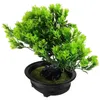 Fleurs décoratives bonsaï arbre plante artificielle en pot fausses plantes décoratives pour bureau vert maison intérieur