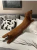 Oreiller joylove 55 ~ 120 cm dck -hund chien coussin amateurs de coussin brun mignon britannique shortgghed dckechhund chien coussin canapé canapé-cadeau en peluche poupée