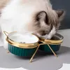 Ulmpp Cat Ceramic Bowl Feede Pet z metalowym stojakiem Podwyższony kotek Puppy Fooding Podniesione naczynie Bezpieczne nietoksyczne zapasy psa 240304