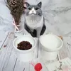 Pet Cat Ceramics Bowl Klasyczny zdrowie szyjki macicy ochrona wysokiej bazy podajnik żywności karmnik szczeniak karmił Y200917270B