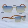 Designer óculos de sol quadrado vintage carter luxo mens óculos decoração ao ar livre óculos retro sem aro gafas para el sol ee mujer tigre madeira 012 goold frame