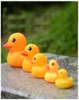 5 dimensioni Baby Bath Water Fun Toy Giallo Mini Rubber Ducks Sound Rattle Piscina Bambini Fare il bagno Spiaggia Giocando Toy8984624