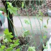Сетка 24/36 нитей 10x10 см с квадратными отверстиями, сетка для полки садовых растений, сетка для цветной капусты, садовая ткацкая стойка для посадки